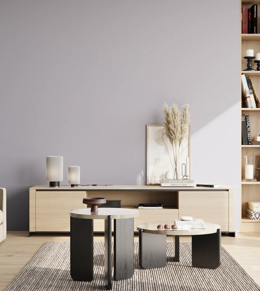 P10_SNIEZKA_salon_02_poludnie_GREY_S1510-R60B