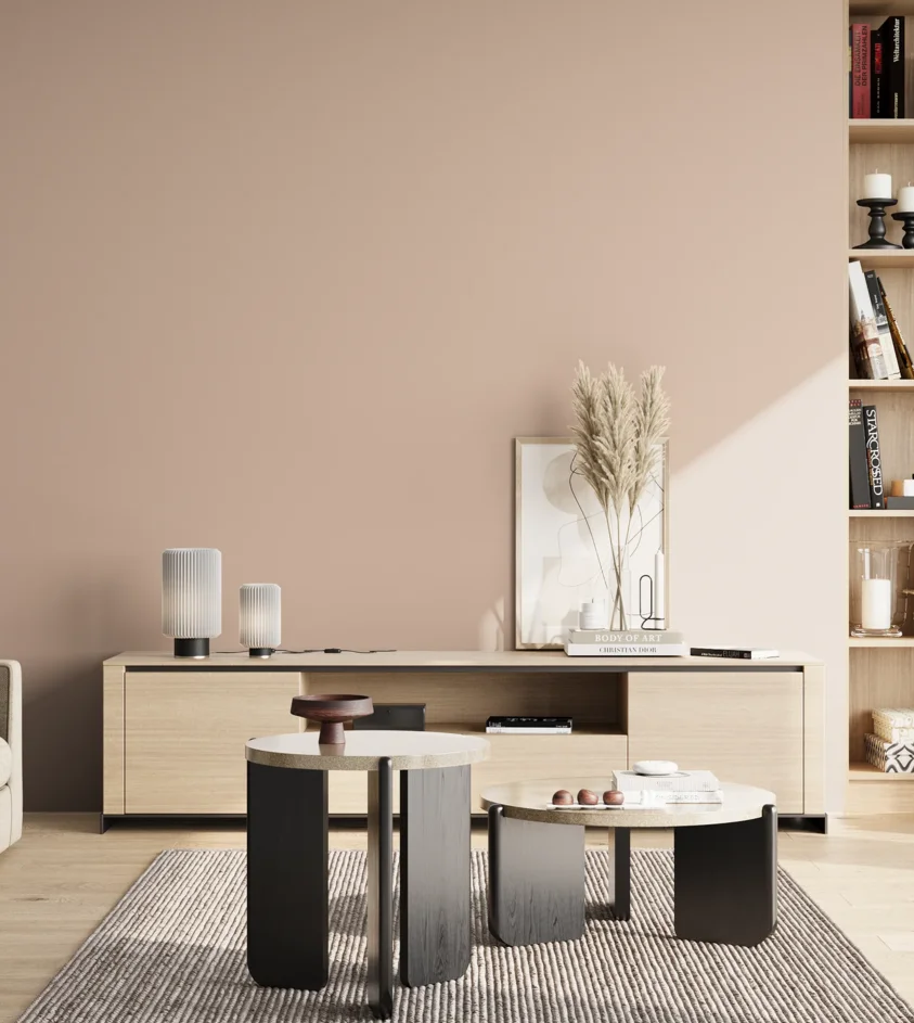 P10_SNIEZKA_salon_02_poludnie_GREY_S1510-Y70R