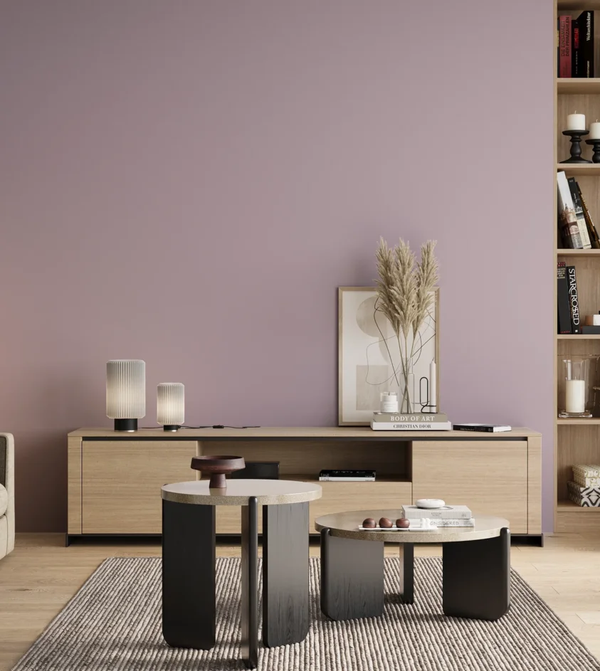 P10_SNIEZKA_salon_00_neutral_GREY_S1515-R40B