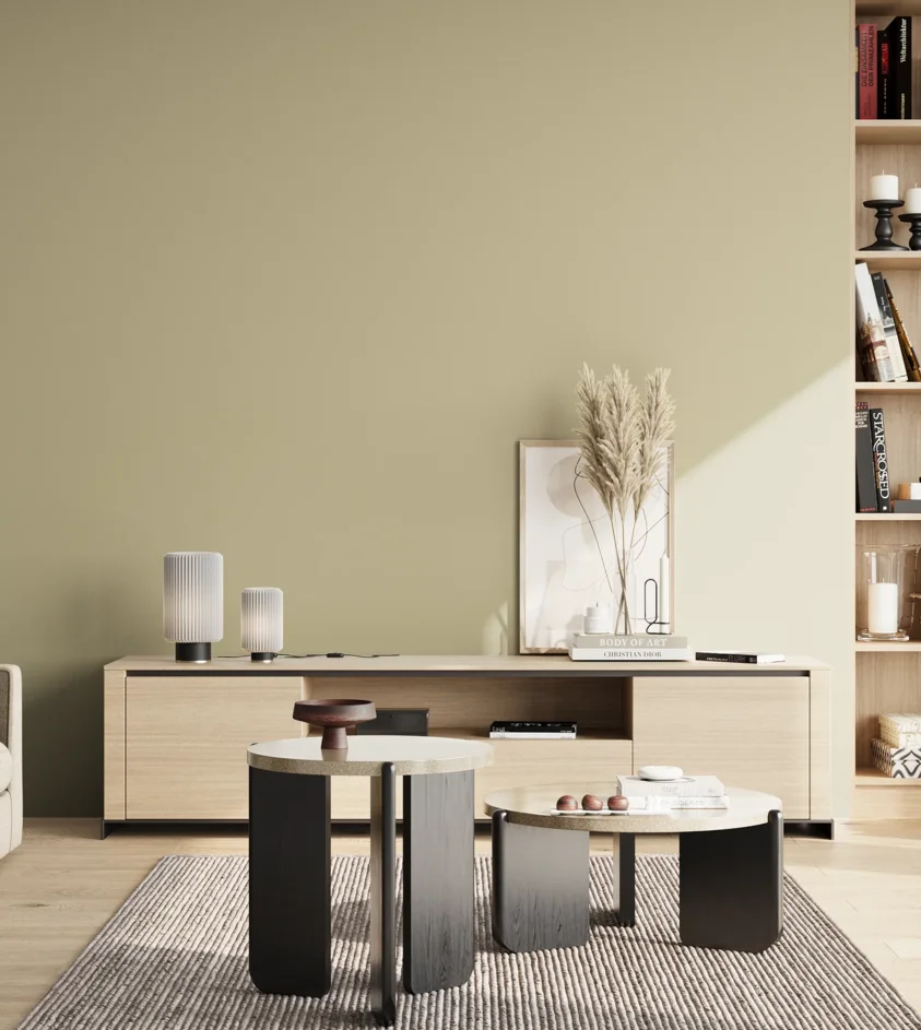 P10_SNIEZKA_salon_02_poludnie_GREY_S2010-G90Y