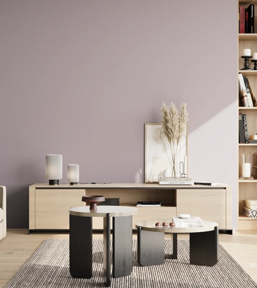P10_SNIEZKA_salon_02_poludnie_GREY_S2010-R40B