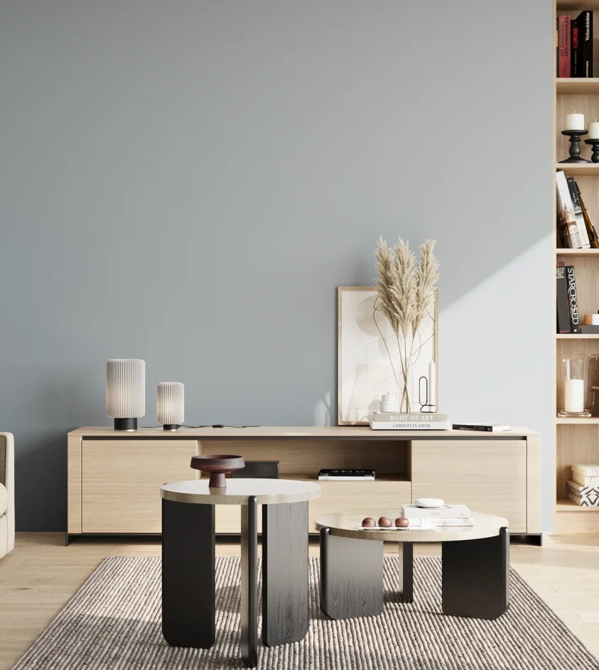 P10_SNIEZKA_salon_02_poludnie_GREY_S2010-R90B