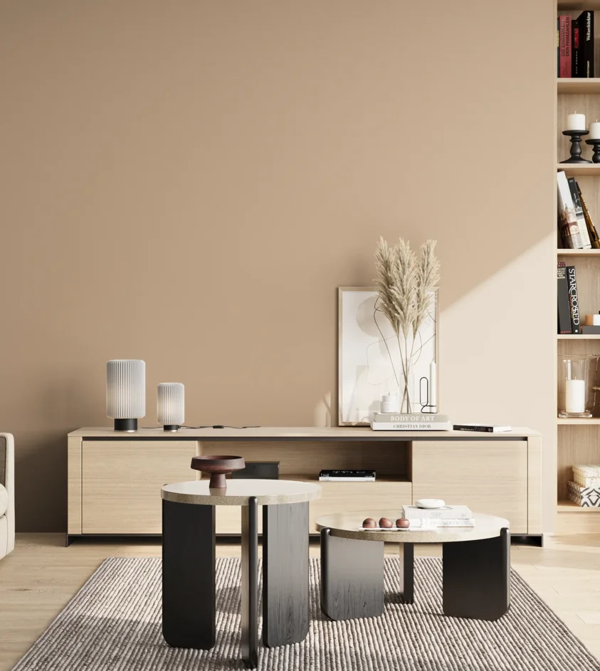 P10_SNIEZKA_salon_02_poludnie_GREY_S2010-Y40R