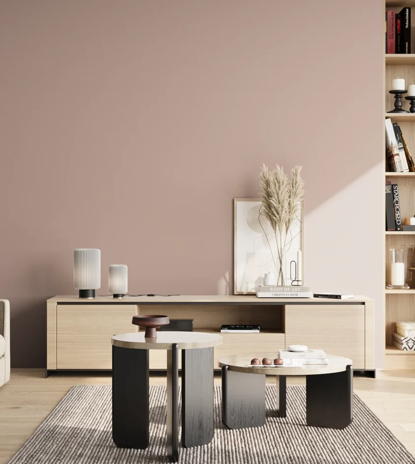P10_SNIEZKA_salon_02_poludnie_GREY_S2010-Y90R