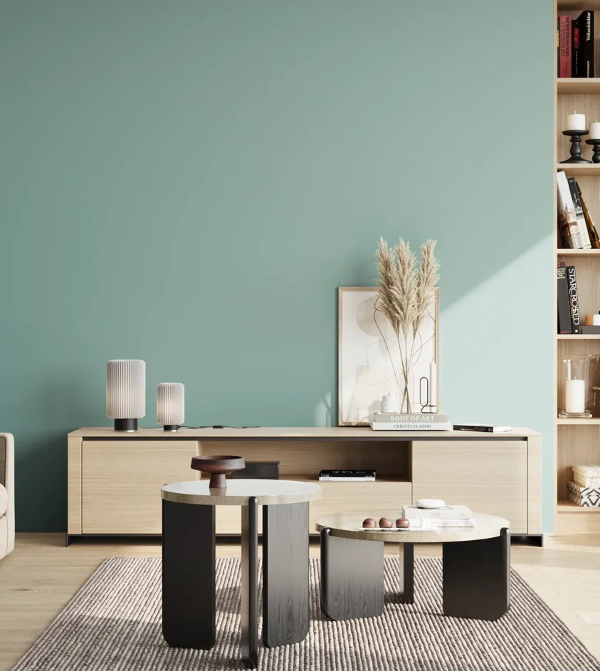 P10_SNIEZKA_salon_02_poludnie_GREY_S2020-B50G