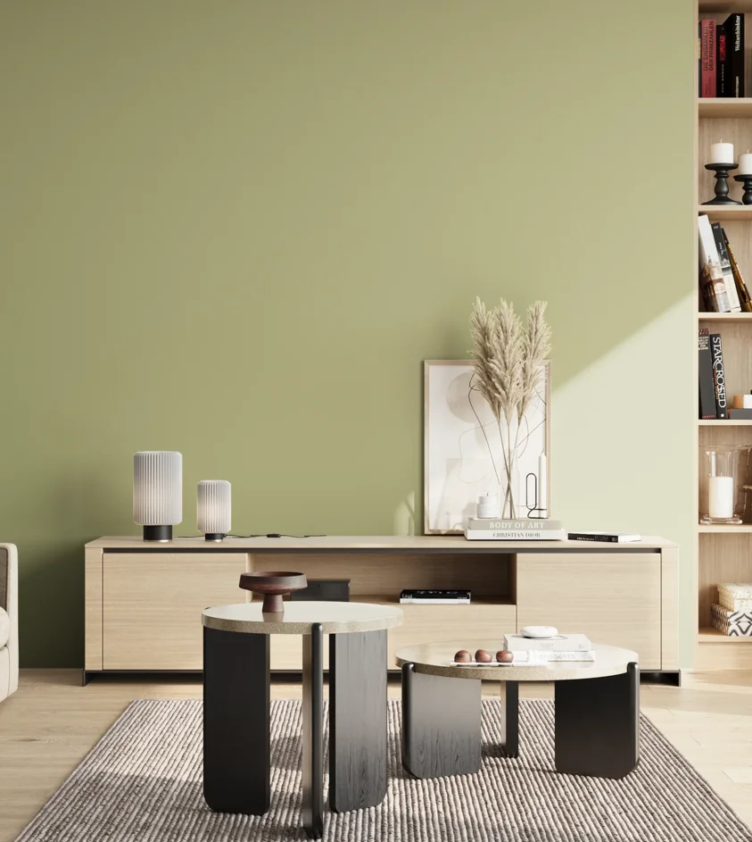 P10_SNIEZKA_salon_02_poludnie_GREY_S2020-G60Y