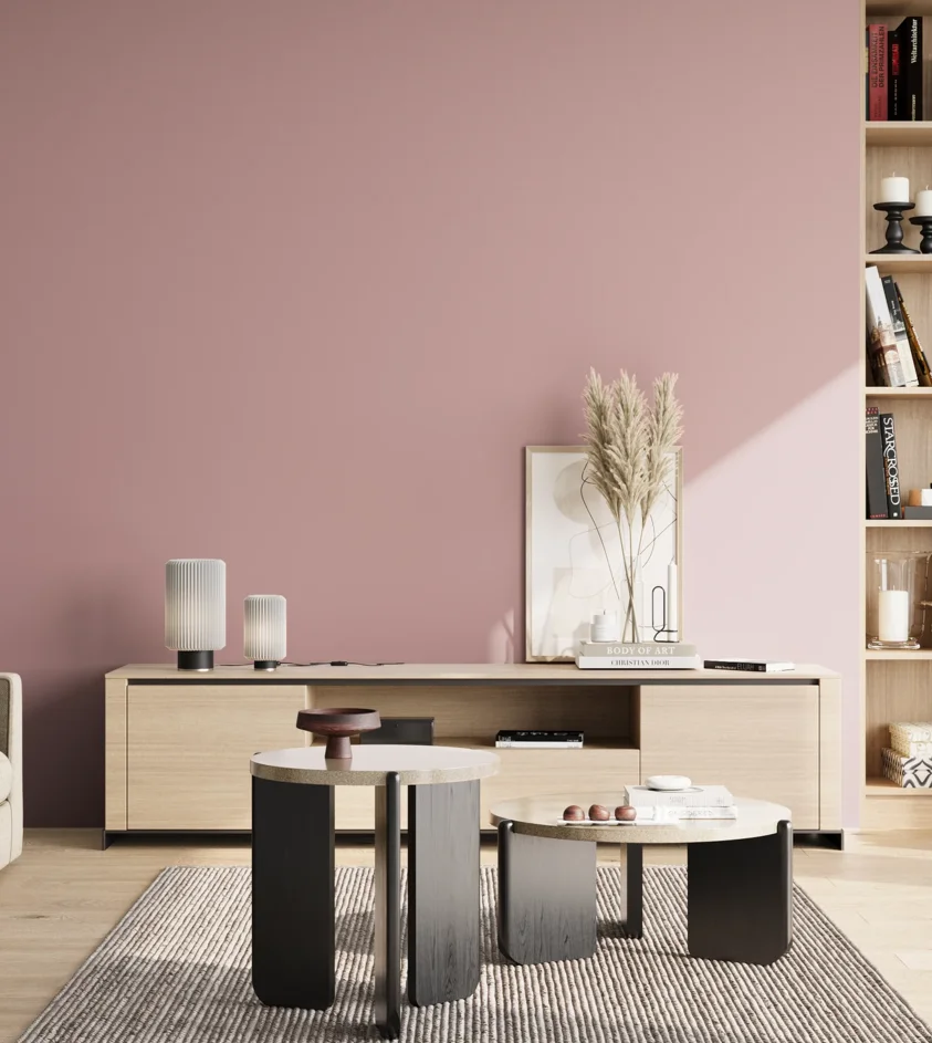 P10_SNIEZKA_salon_02_poludnie_GREY_S2020-R10B