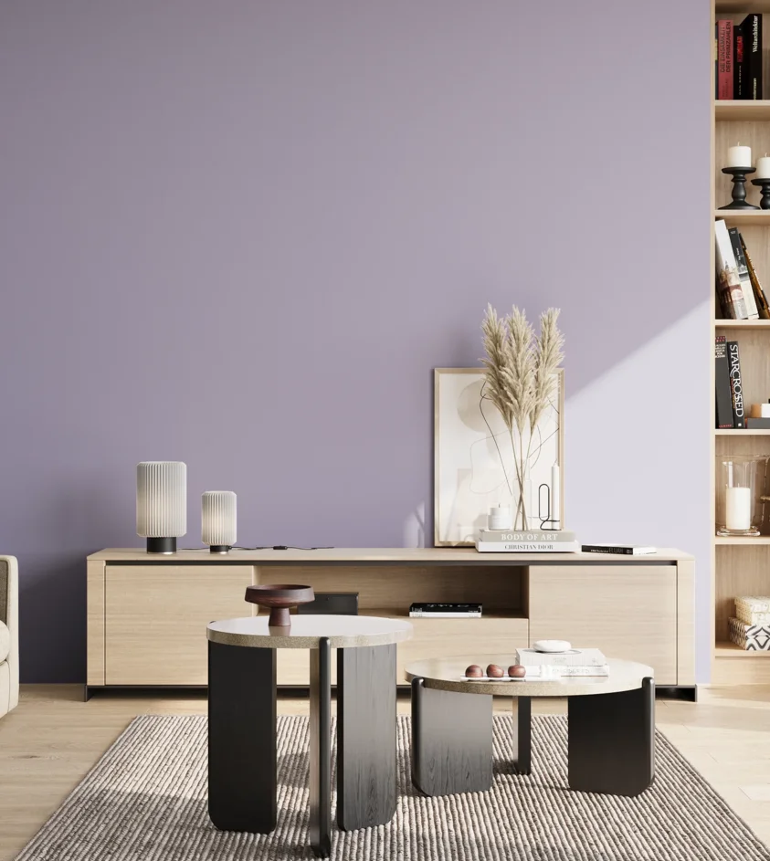 P10_SNIEZKA_salon_02_poludnie_GREY_S2020-R60B