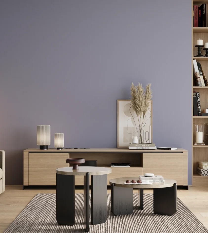P10_SNIEZKA_salon_00_neutral_GREY_S2020-R70B