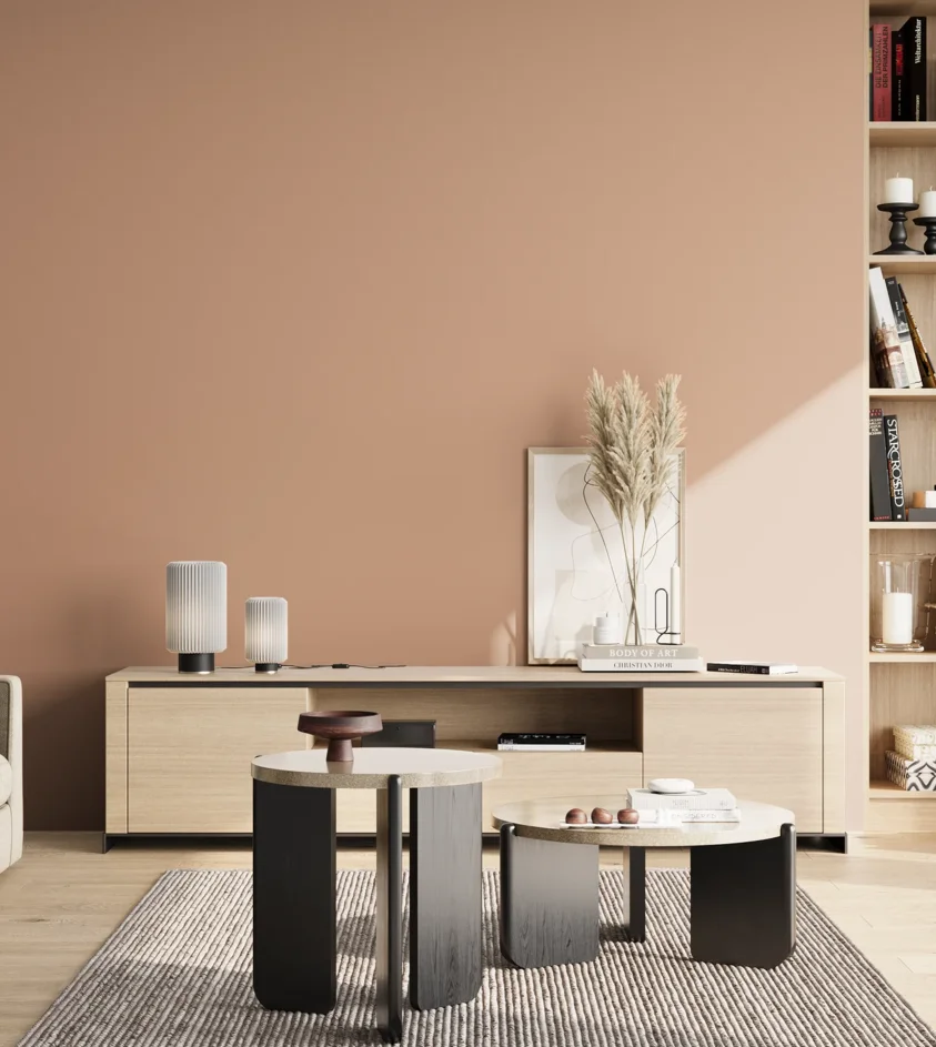 P10_SNIEZKA_salon_02_poludnie_GREY_S2020-Y60R