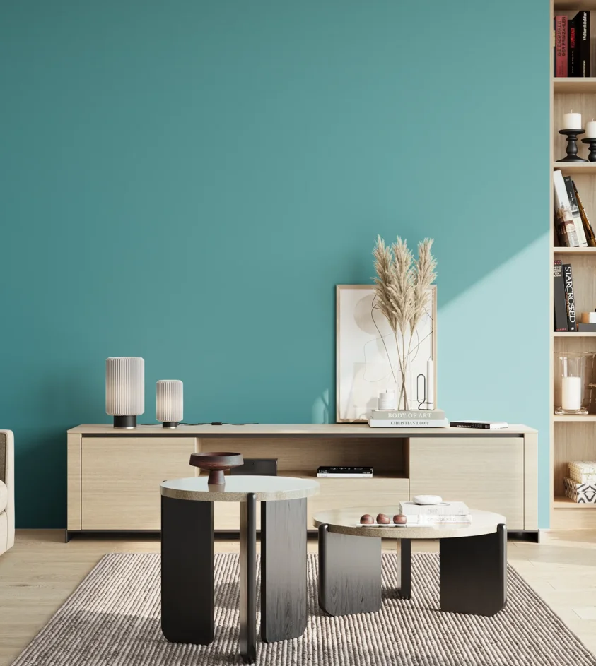P10_SNIEZKA_salon_02_poludnie_GREY_S2040-B30G