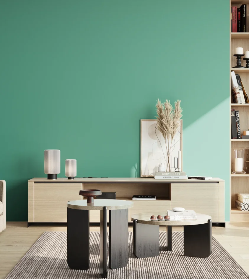 P10_SNIEZKA_salon_02_poludnie_GREY_S2040-B80G