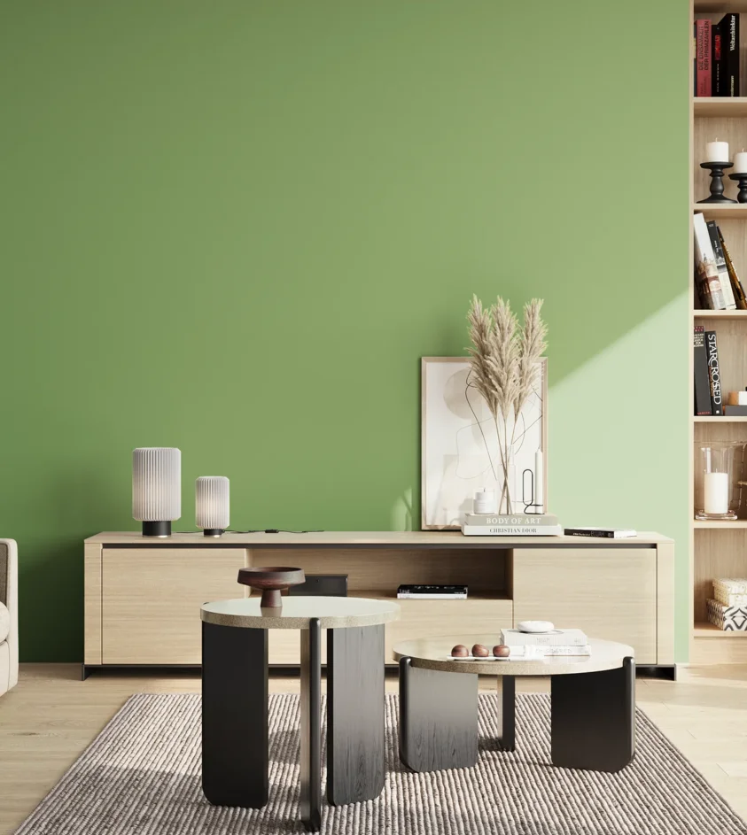 P10_SNIEZKA_salon_02_poludnie_GREY_S2040-G30Y