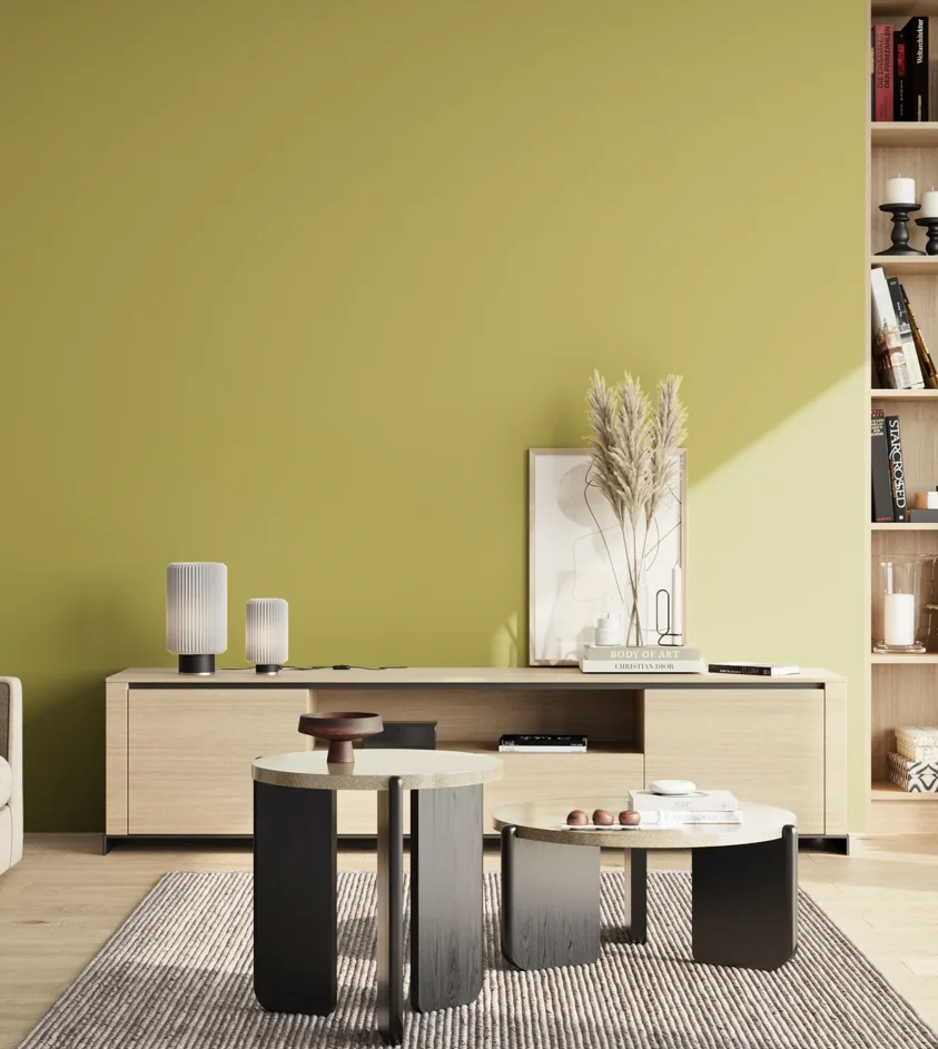 P10_SNIEZKA_salon_02_poludnie_GREY_S2040-G80Y