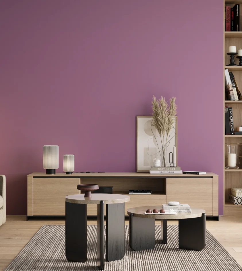 P10_SNIEZKA_salon_00_neutral_GREY_S2040-R40B