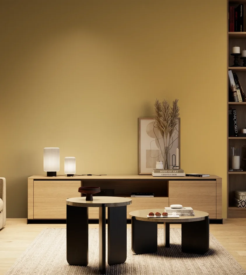 P10_SNIEZKA_salon_04_cieple_GREY_S2040-Y10R