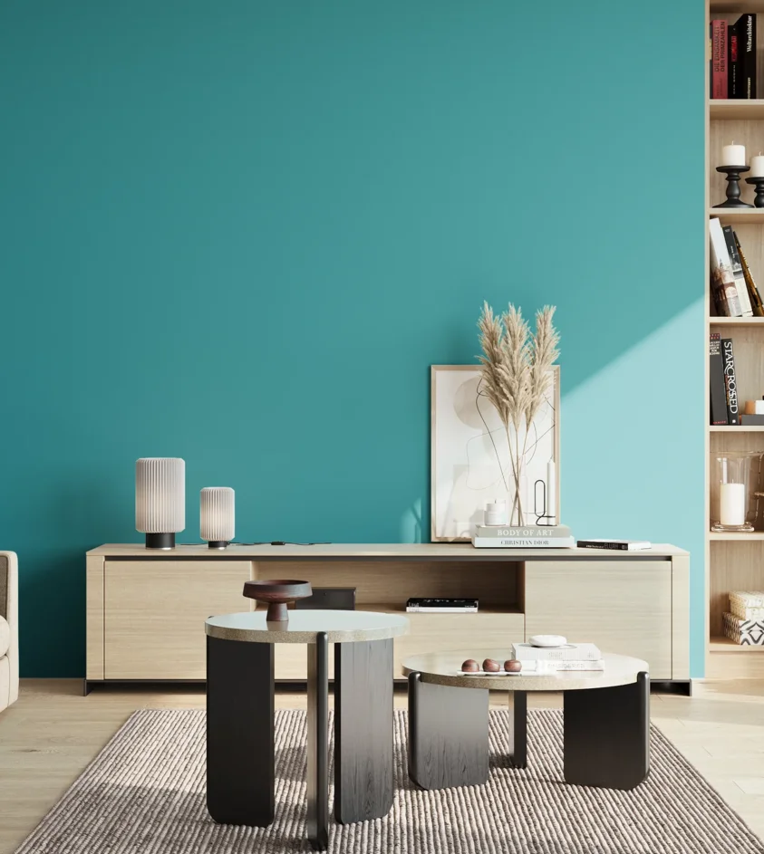 P10_SNIEZKA_salon_02_poludnie_GREY_S2050-B30G