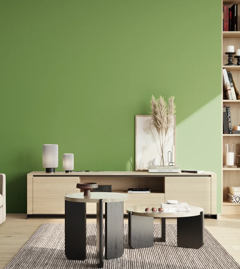 P10_SNIEZKA_salon_02_poludnie_GREY_S2050-G30Y