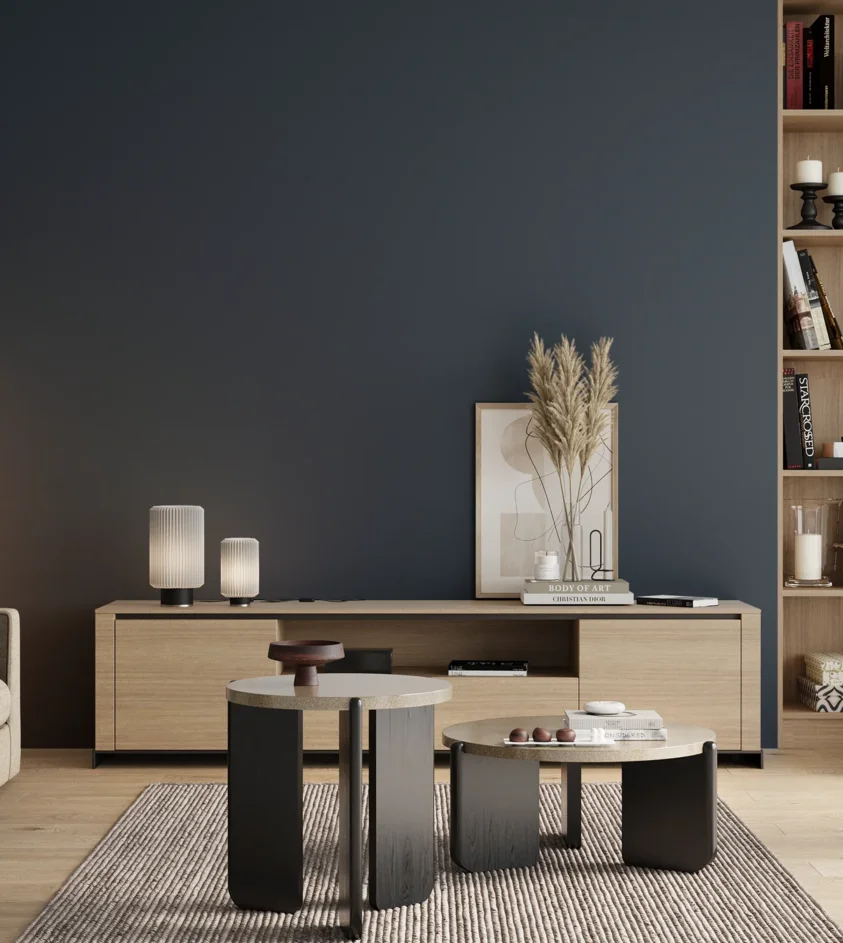 P10_SNIEZKA_salon_00_neutral_GREY_KL30