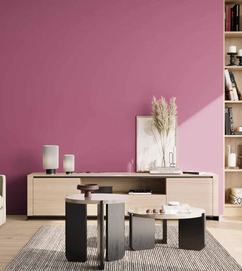 P10_SNIEZKA_salon_02_poludnie_GREY_S2050-R30B