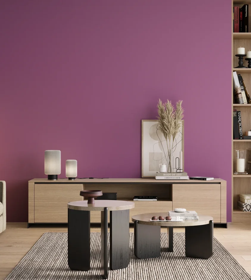 P10_SNIEZKA_salon_00_neutral_GREY_S2050-R40B