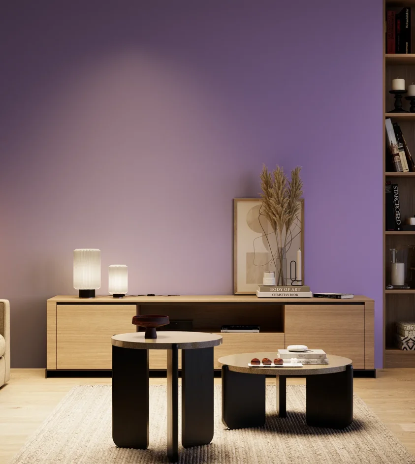 P10_SNIEZKA_salon_04_cieple_GREY_S2050-R60B