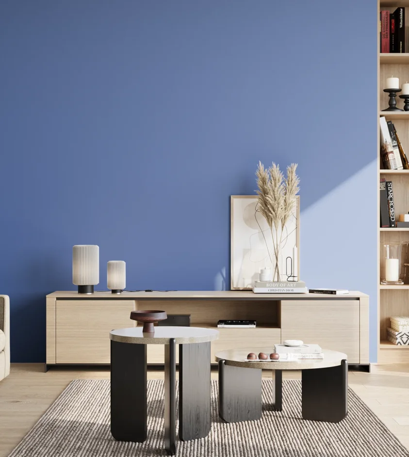 P10_SNIEZKA_salon_02_poludnie_GREY_S2050-R80B