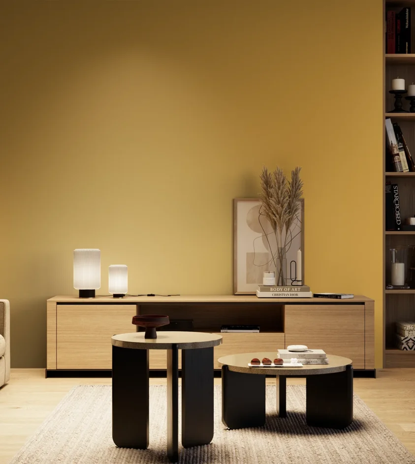 P10_SNIEZKA_salon_04_cieple_GREY_S2050-Y10R