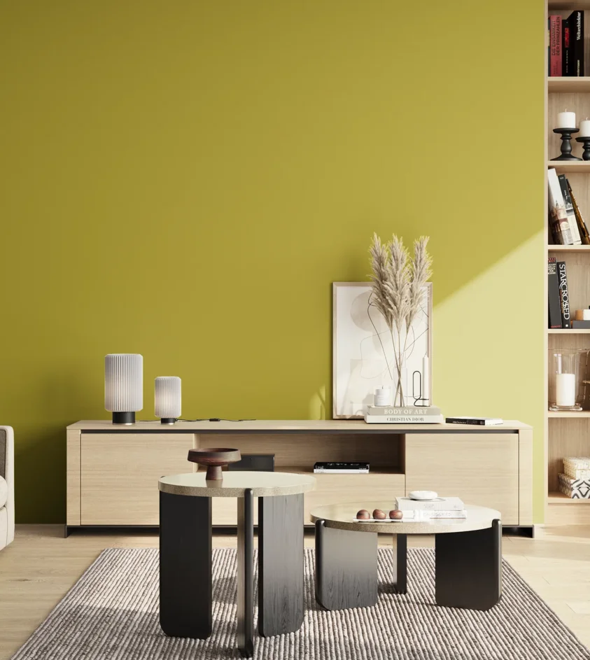 P10_SNIEZKA_salon_02_poludnie_GREY_S2060-G80Y