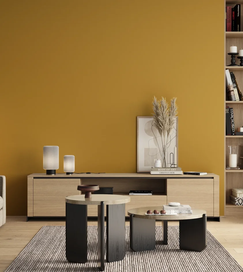 P10_SNIEZKA_salon_00_neutral_GREY_S2060-Y10R
