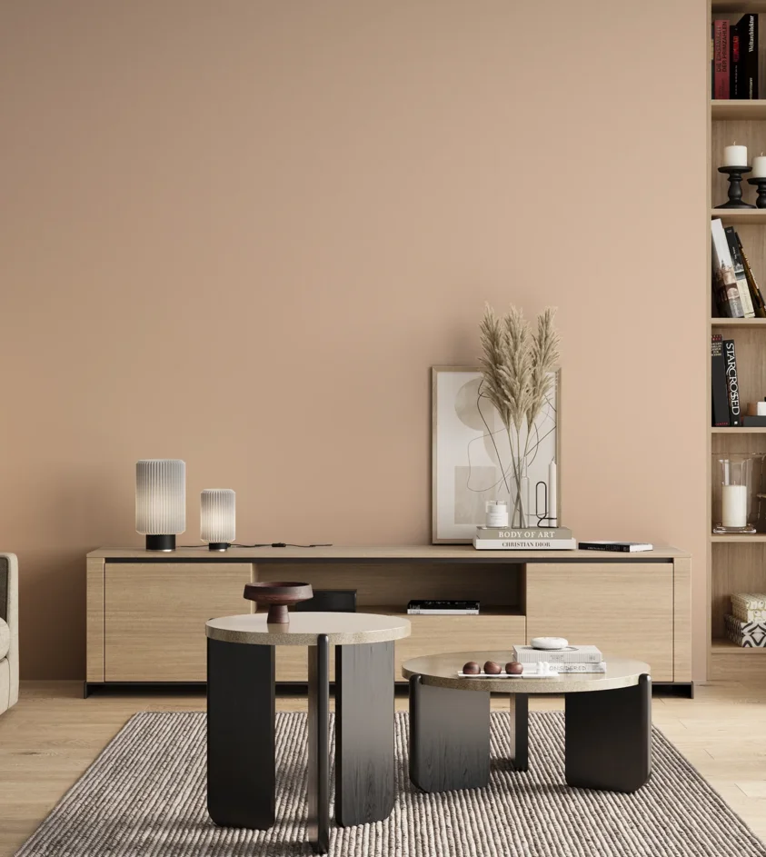 P10_SNIEZKA_salon_00_neutral_GREY_KL37