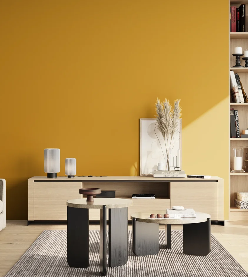 P10_SNIEZKA_salon_02_poludnie_GREY_S2070-Y10R
