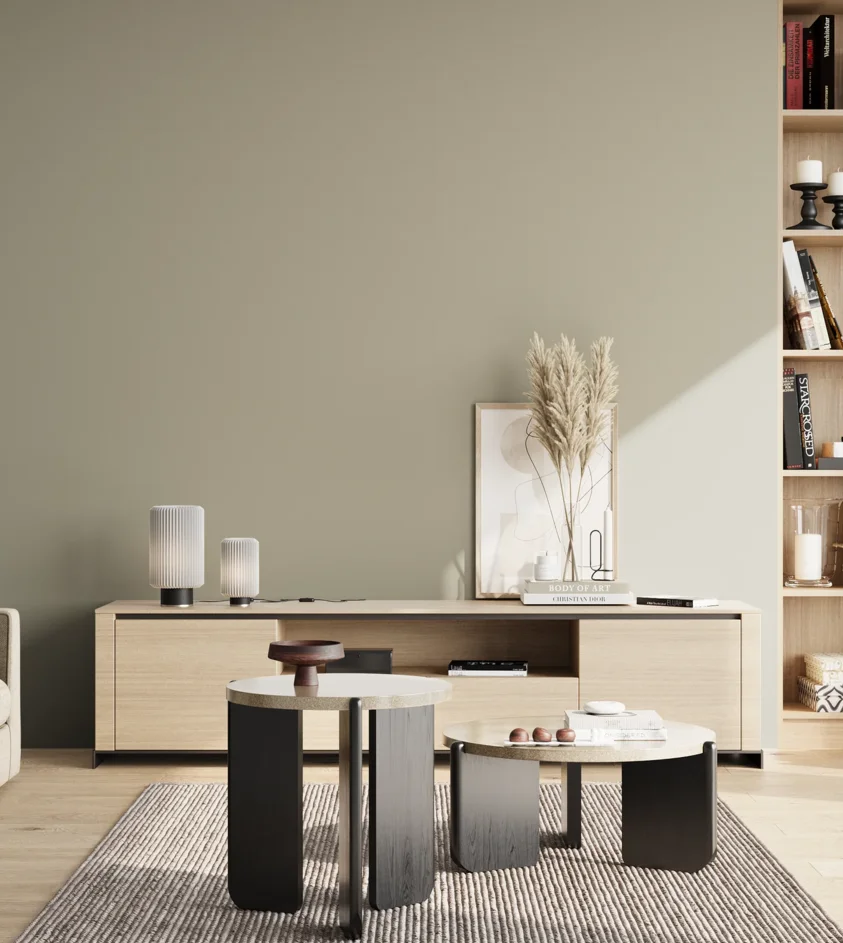 P10_SNIEZKA_salon_02_poludnie_GREY_S3005-G80Y