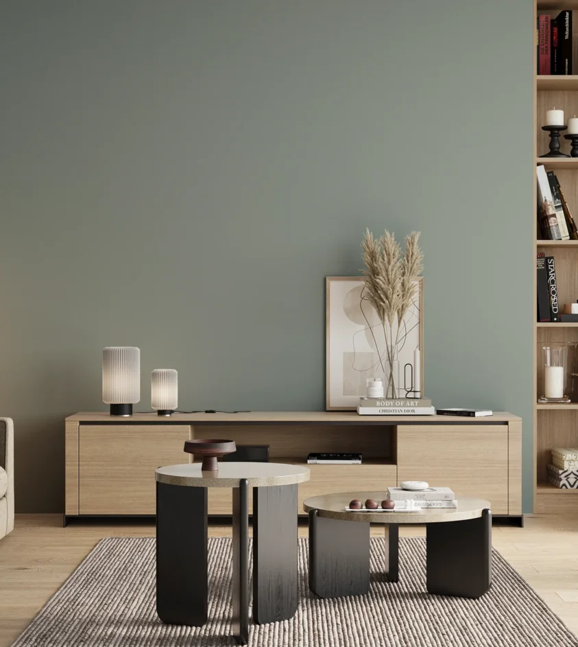 P10_SNIEZKA_salon_00_neutral_GREY_S3010-B70G