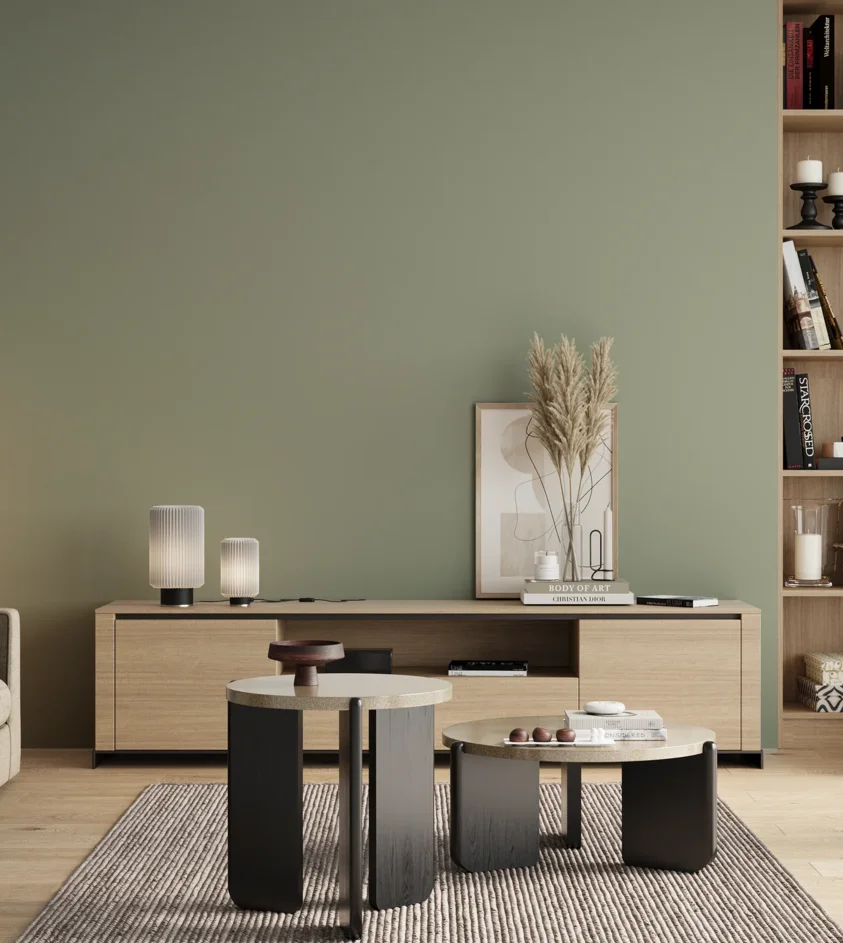 P10_SNIEZKA_salon_00_neutral_GREY_S3010-G30Y