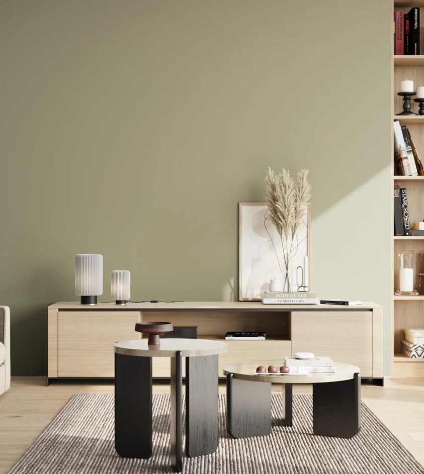 P10_SNIEZKA_salon_02_poludnie_GREY_S3010-G70Y