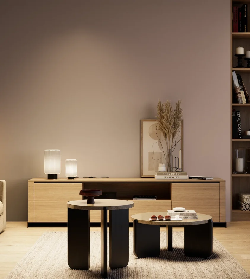 P10_SNIEZKA_salon_04_cieple_GREY_S3010-R