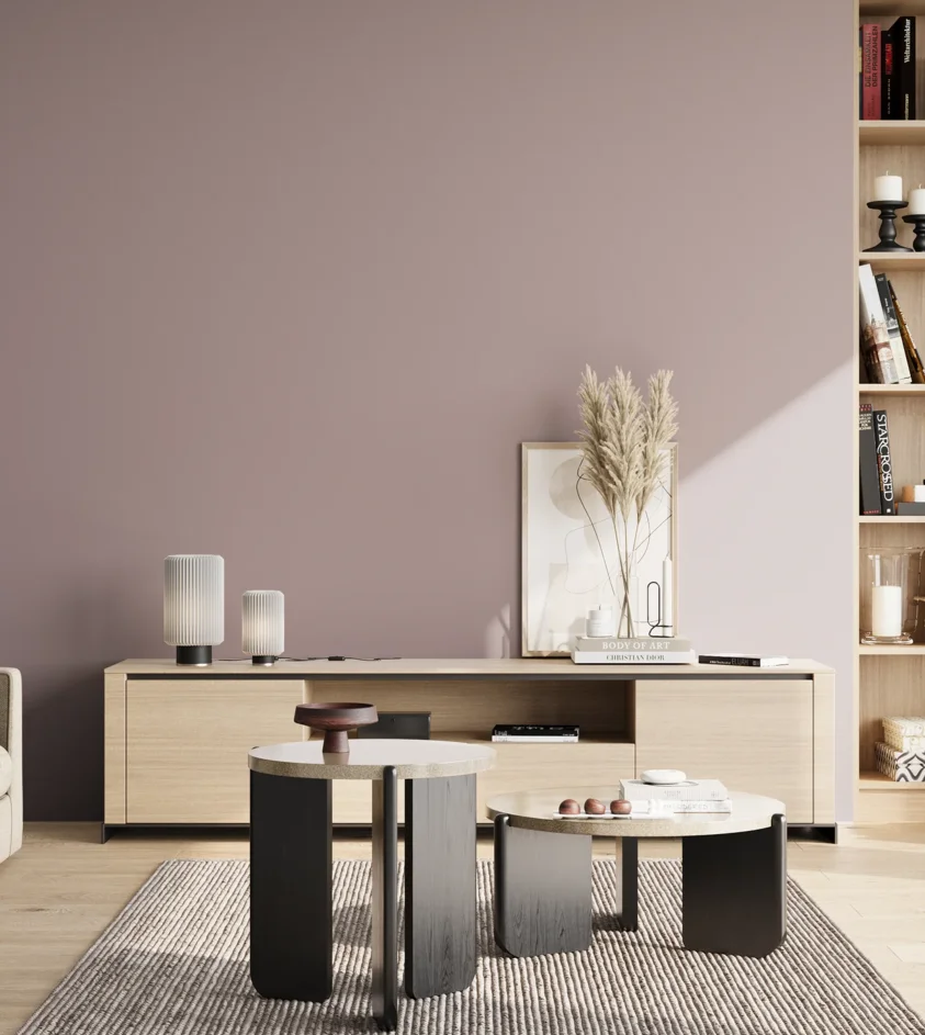 P10_SNIEZKA_salon_02_poludnie_GREY_S3010-R20B