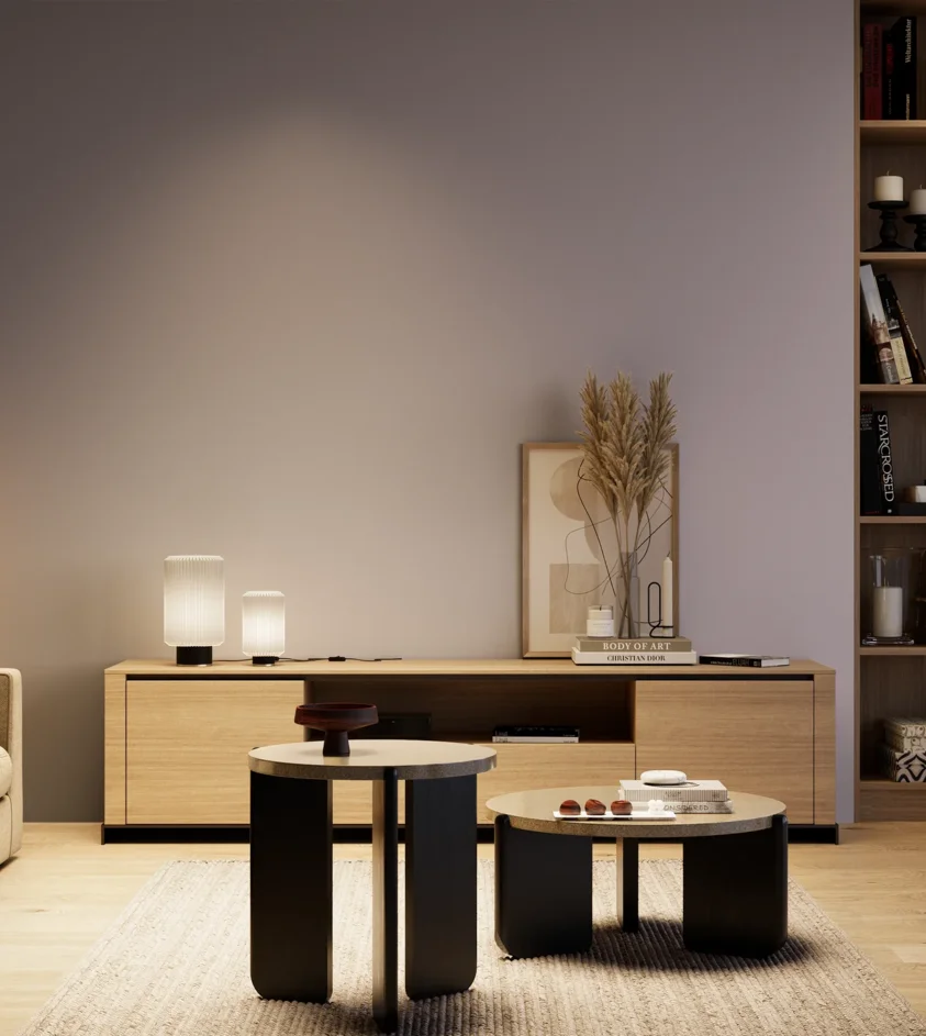 P10_SNIEZKA_salon_04_cieple_GREY_S3010-R50B