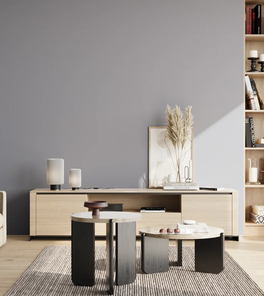 P10_SNIEZKA_salon_02_poludnie_GREY_S3010-R70B