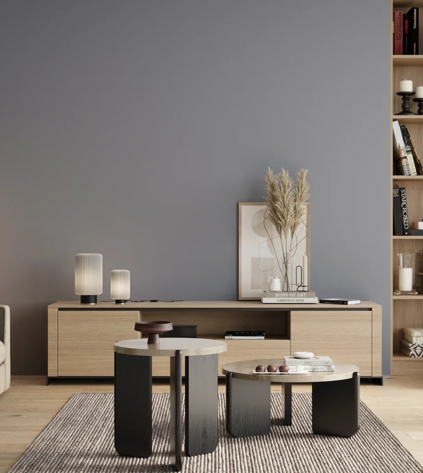 P10_SNIEZKA_salon_00_neutral_GREY_S3010-R80B