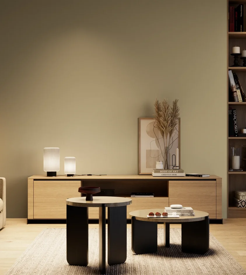 P10_SNIEZKA_salon_04_cieple_GREY_S3010-Y