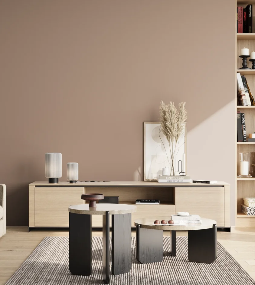 P10_SNIEZKA_salon_02_poludnie_GREY_S3010-Y70R