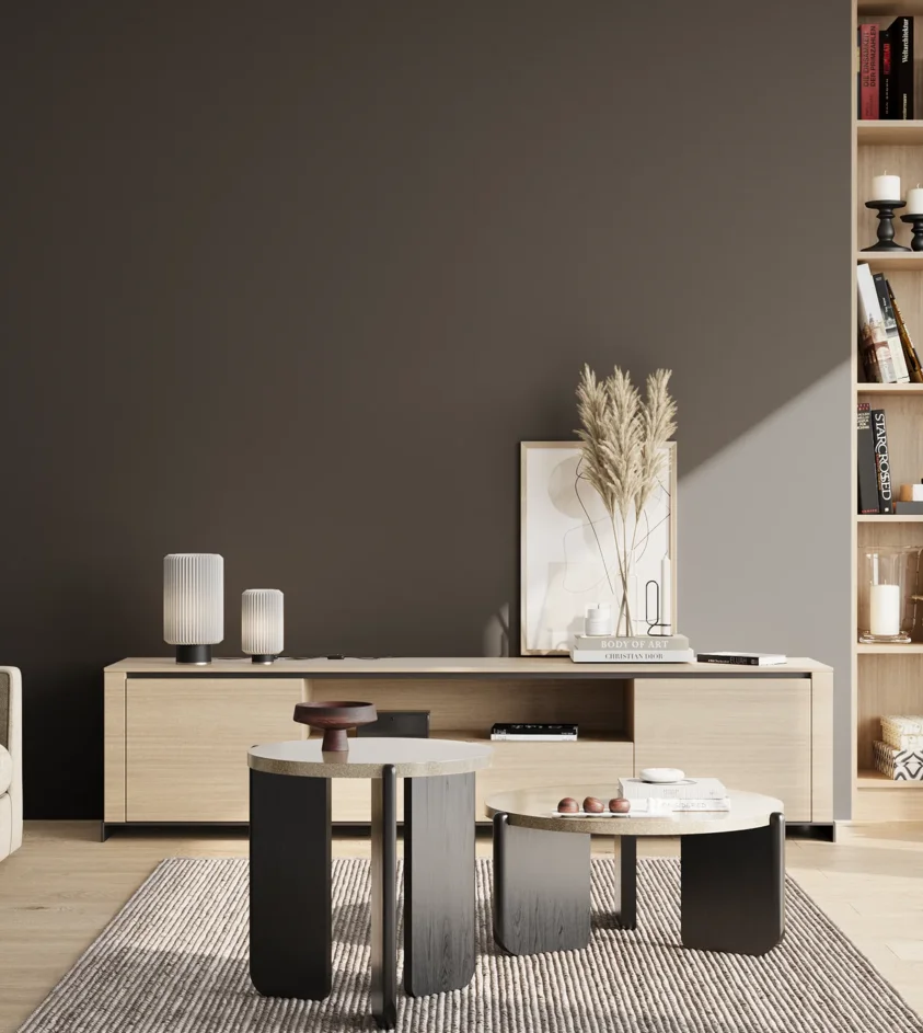 P10_SNIEZKA_salon_02_poludnie_GREY_B22