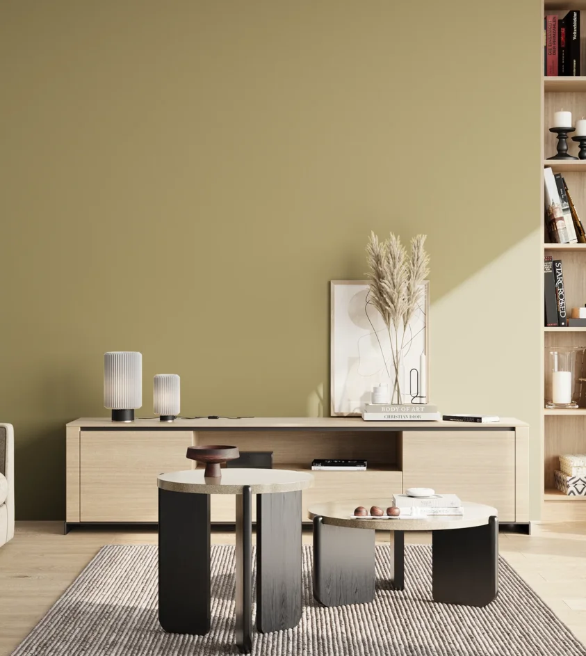 P10_SNIEZKA_salon_02_poludnie_GREY_S3020-G90Y