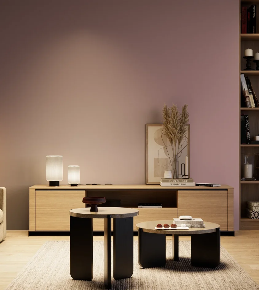 P10_SNIEZKA_salon_04_cieple_GREY_S3020-R20B