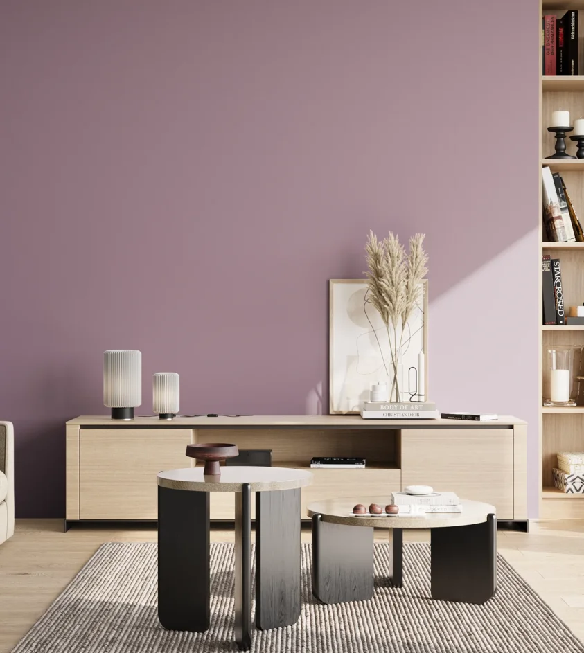P10_SNIEZKA_salon_02_poludnie_GREY_S3020-R40B
