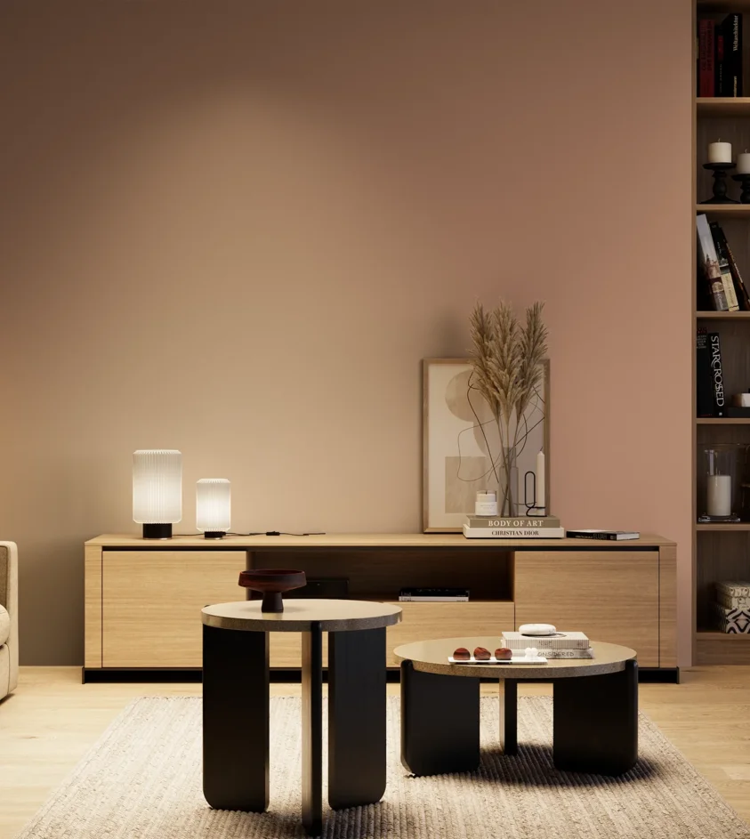 P10_SNIEZKA_salon_04_cieple_GREY_S3020-Y70R