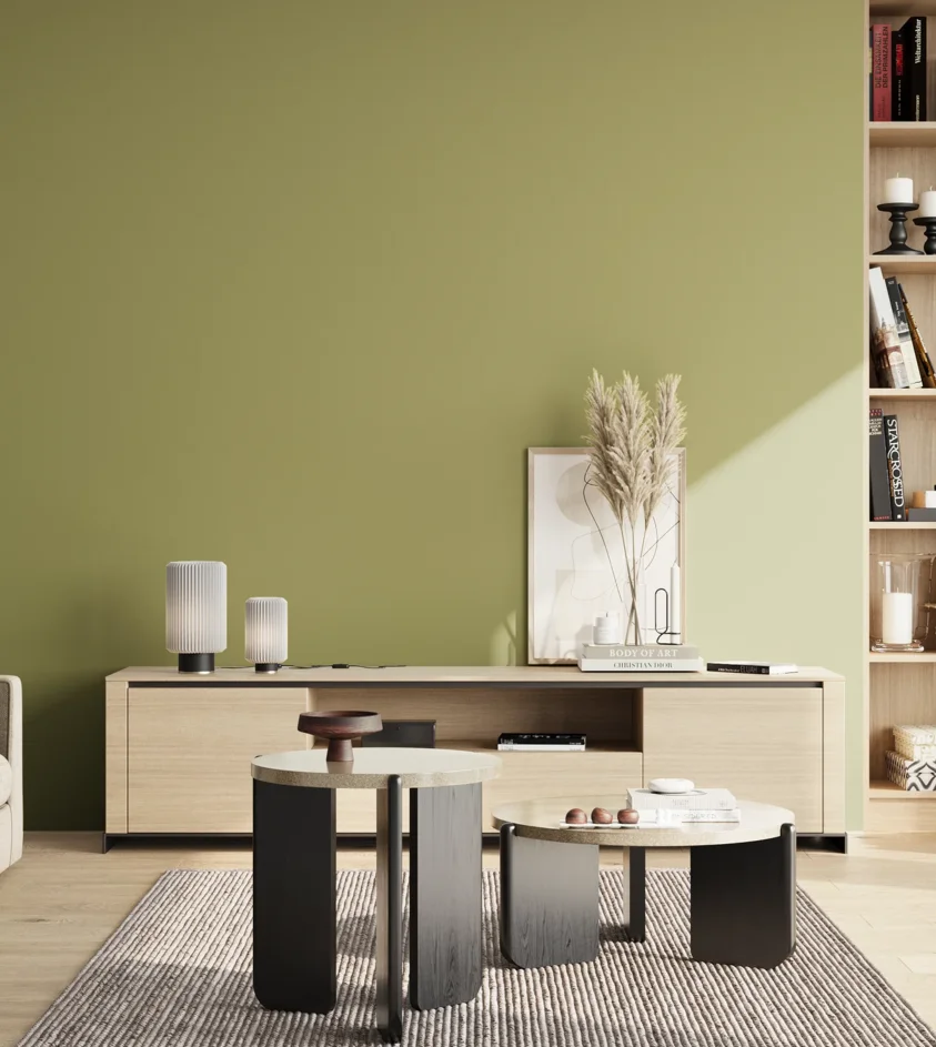 P10_SNIEZKA_salon_02_poludnie_GREY_S3030-G70Y