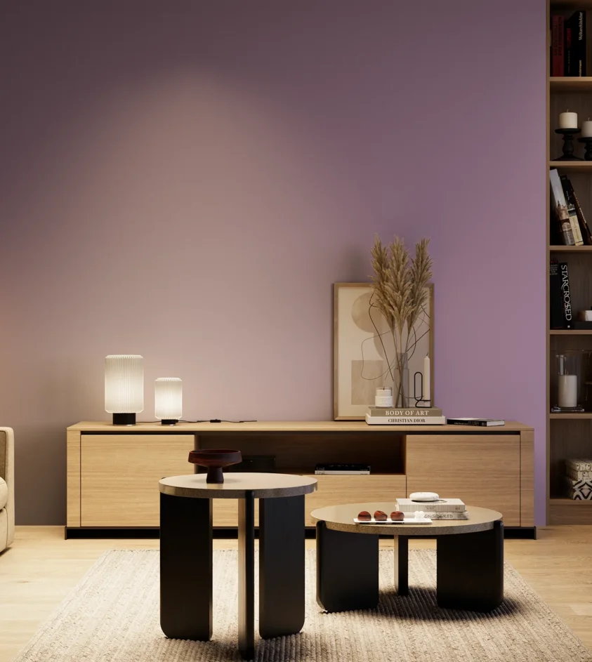 P10_SNIEZKA_salon_04_cieple_GREY_S3030-R50B